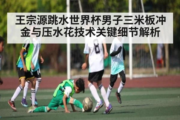 王宗源跳水世界杯男子三米板冲金与压水花技术关键细节解析